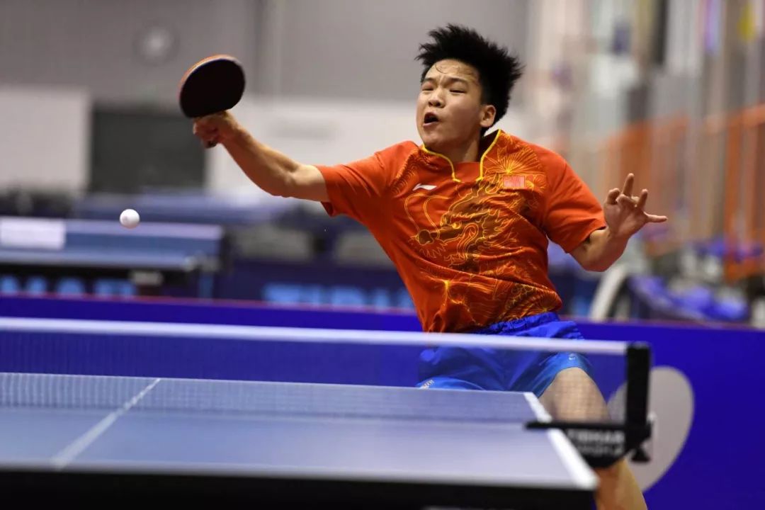 山东东阿阿 山东东阿阿